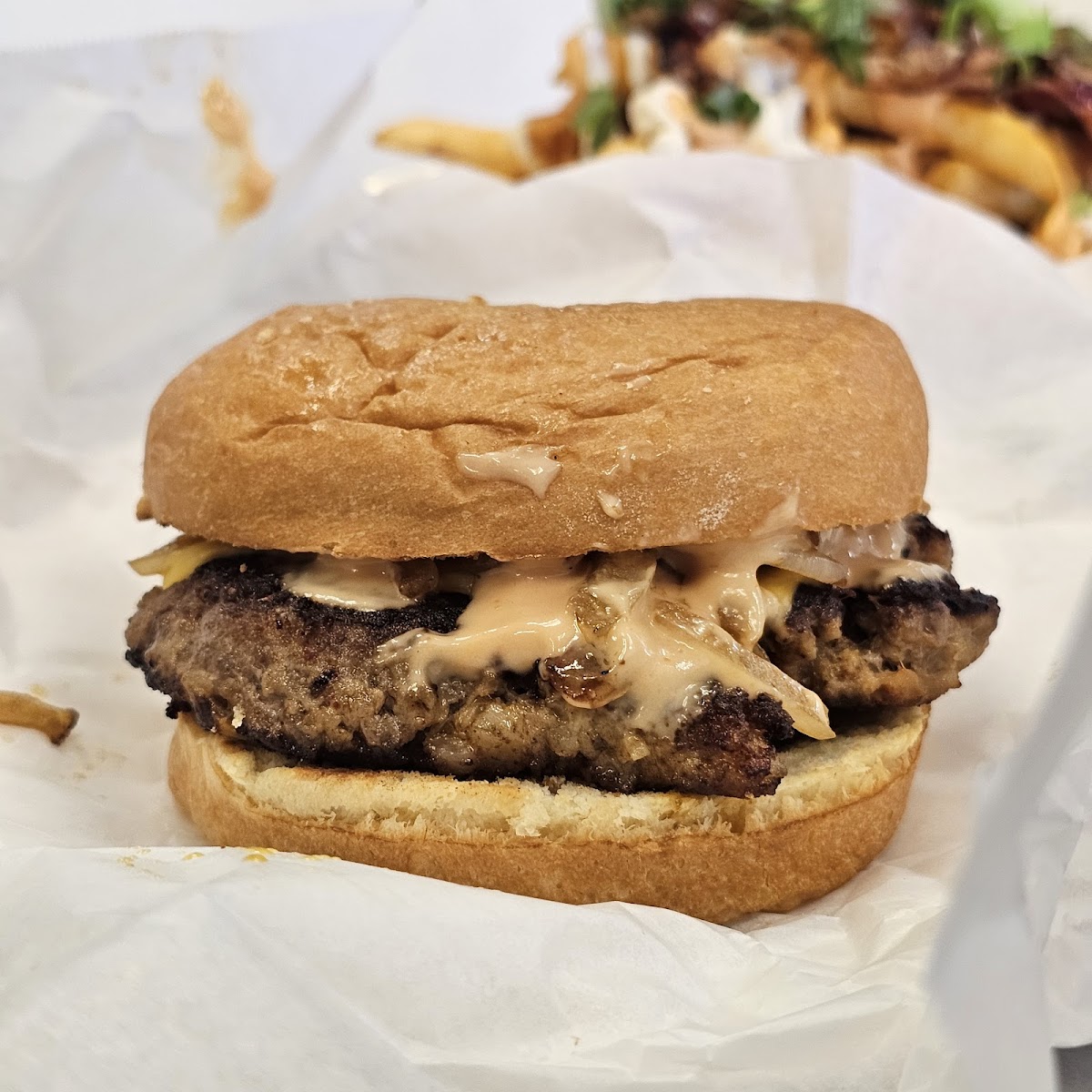 John Belvedere Photos 2